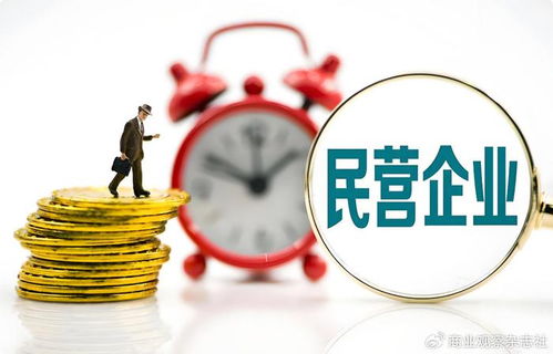 當民營企業(yè)遇見世界500強 以企業(yè)自有資金共繪“投資中國，共贏未來”新藍圖