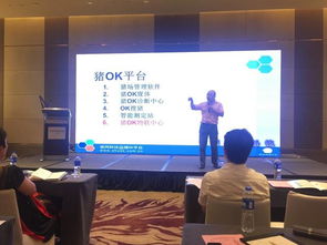 大數據浪潮席卷廈門,帆軟或成有力支撐